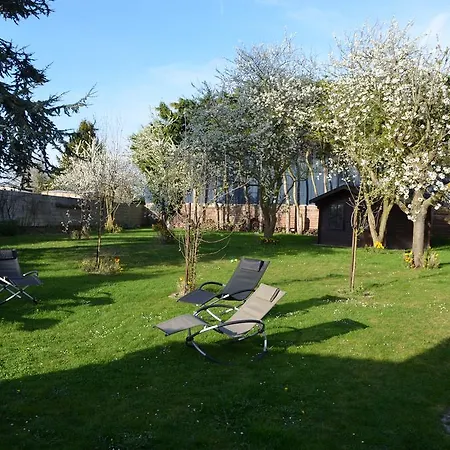 Annette's 3* Mazingarbe